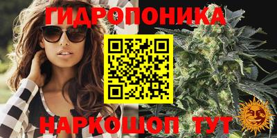 гашик Кинель