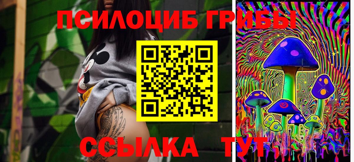 Псилоцибиновые грибы Psilocybe  Галлюциногенные грибы Psilocybine cubensis  Котельники  хочу наркоту  Вход с VPN 